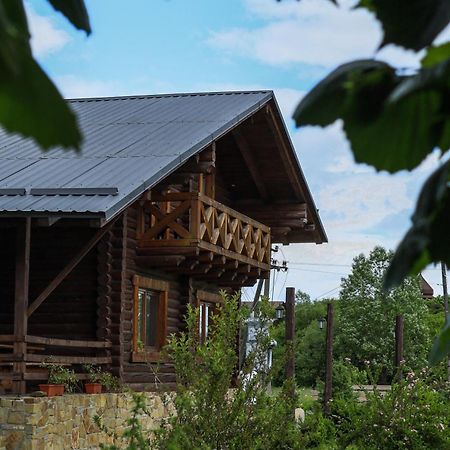 Сottage "Ksenija" Котедж "Ксенія" Skole Exterior foto